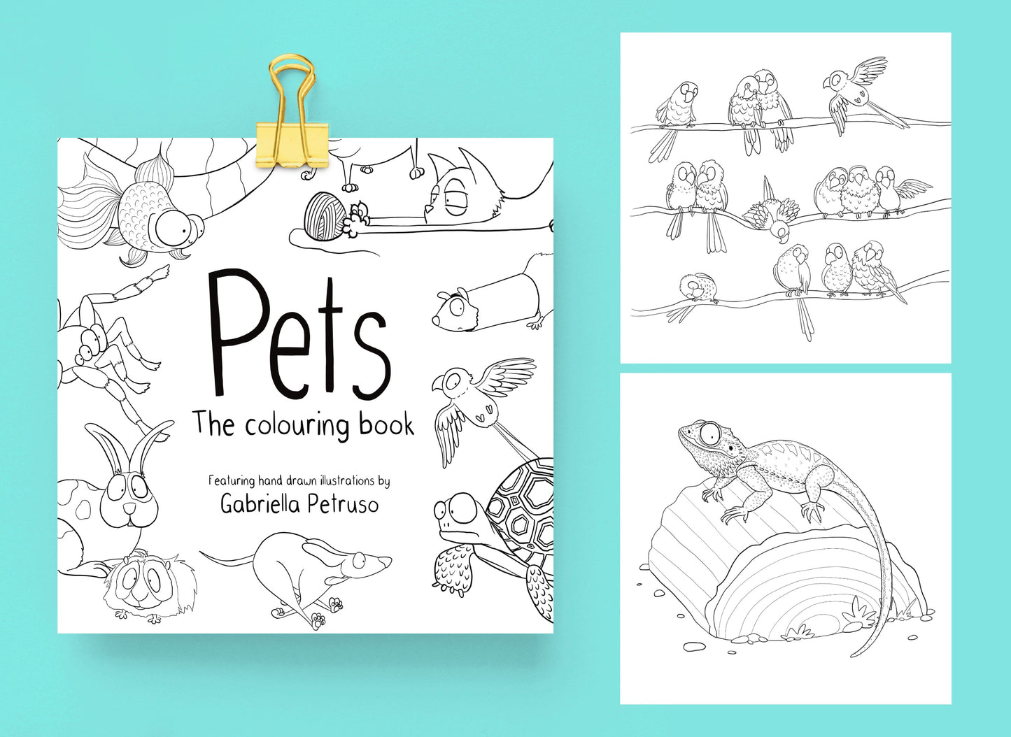 Pets - Colouring Book