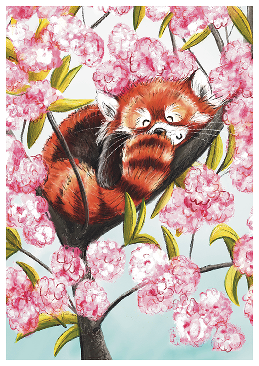 Red Panda Illustrated Art Print
