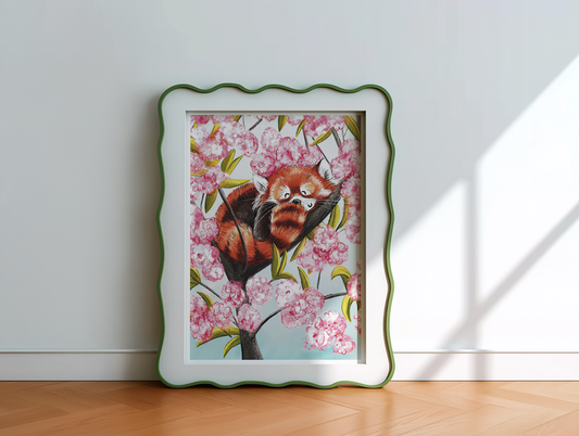 Red Panda Illustrated Art Print
