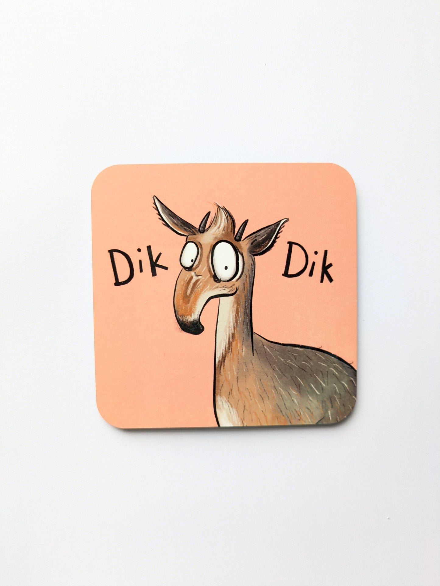Dik Dik Coaster