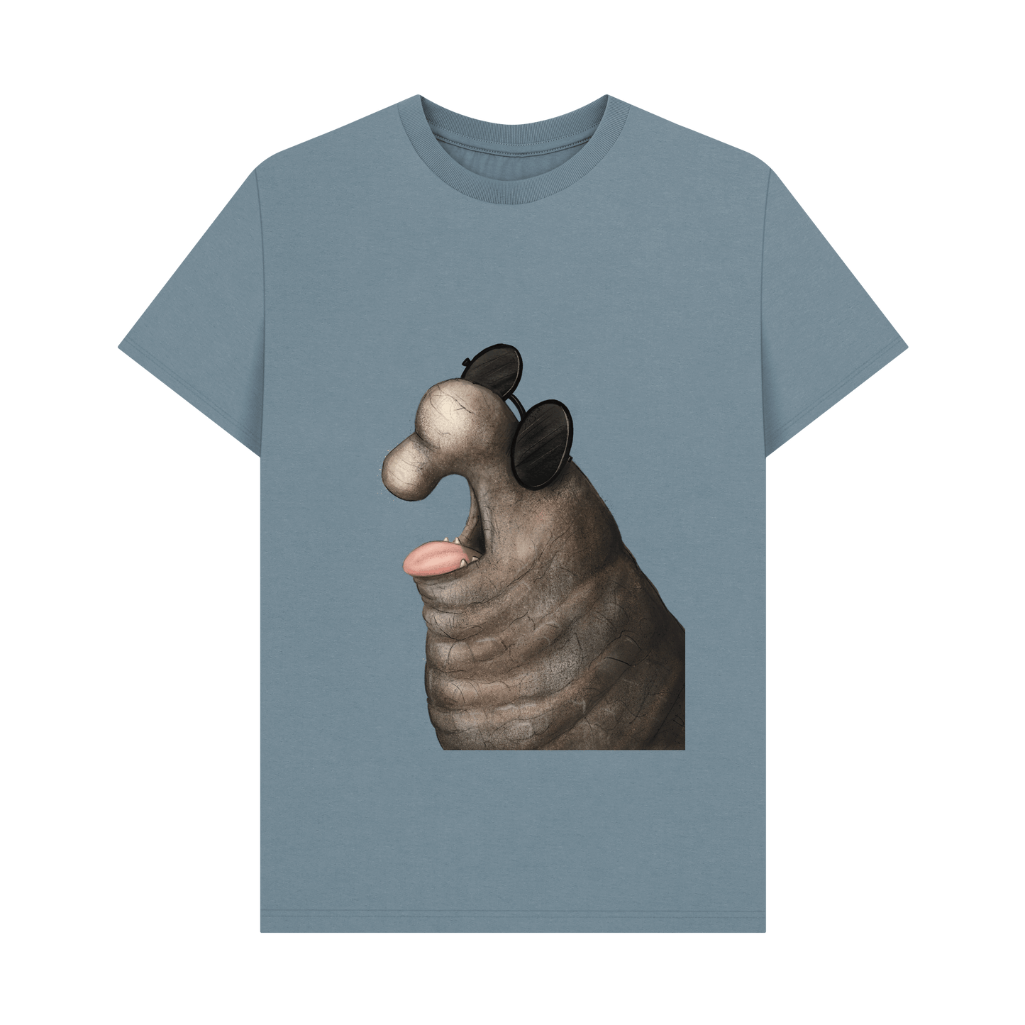 Stone Blue Printed T-shirt Front