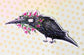 Crow Sticker