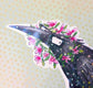 Crow Sticker
