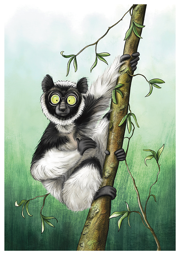 Indri Lemur art print