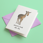 Unsolicited Dik Dik Greeting Card
